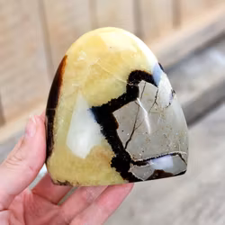 Septarian (Draksten), polerad kristall stående friform #25