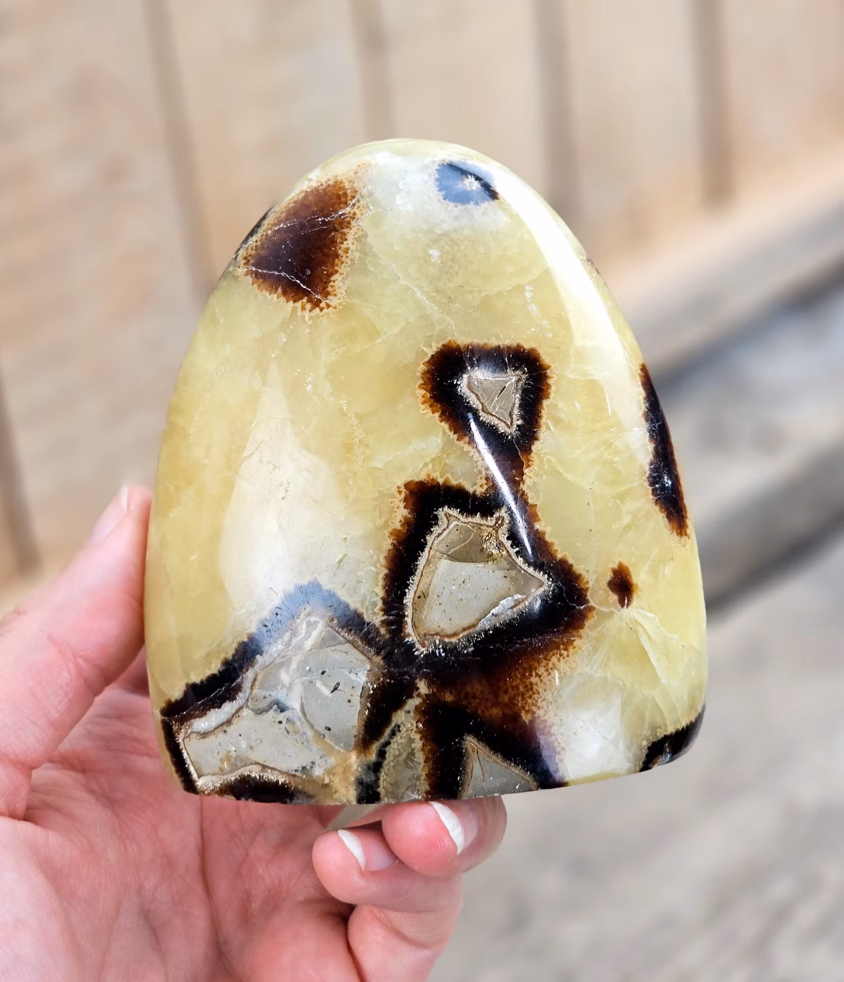 Septarian (Draksten), polerad kristall stående friform