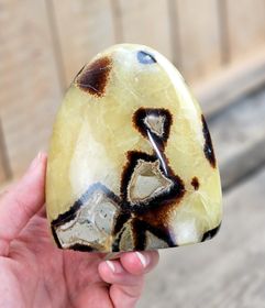 Septarian (Draksten), polerad kristall stående friform #26