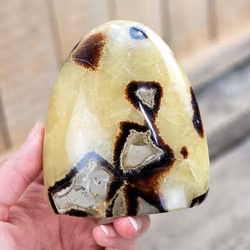 Septarian (Draksten), polerad kristall stående friform #26