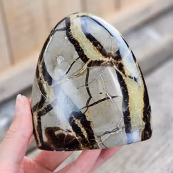 Septarian (Draksten), polerad kristall stående friform #27