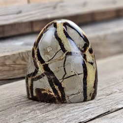 Septarian (Draksten), polerad kristall stående friform #27