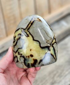 Septarian (Draksten), polerad kristall stående friform #28