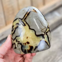 Septarian (Draksten), polerad kristall stående friform #28