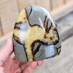Septarian (Draksten), polerad kristall stående friform #30