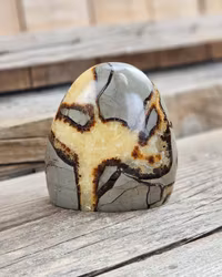 Septarian (Draksten), polerad kristall stående friform #30