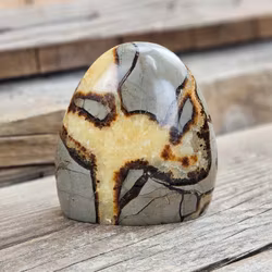 Septarian (Draksten), polerad kristall stående friform #30