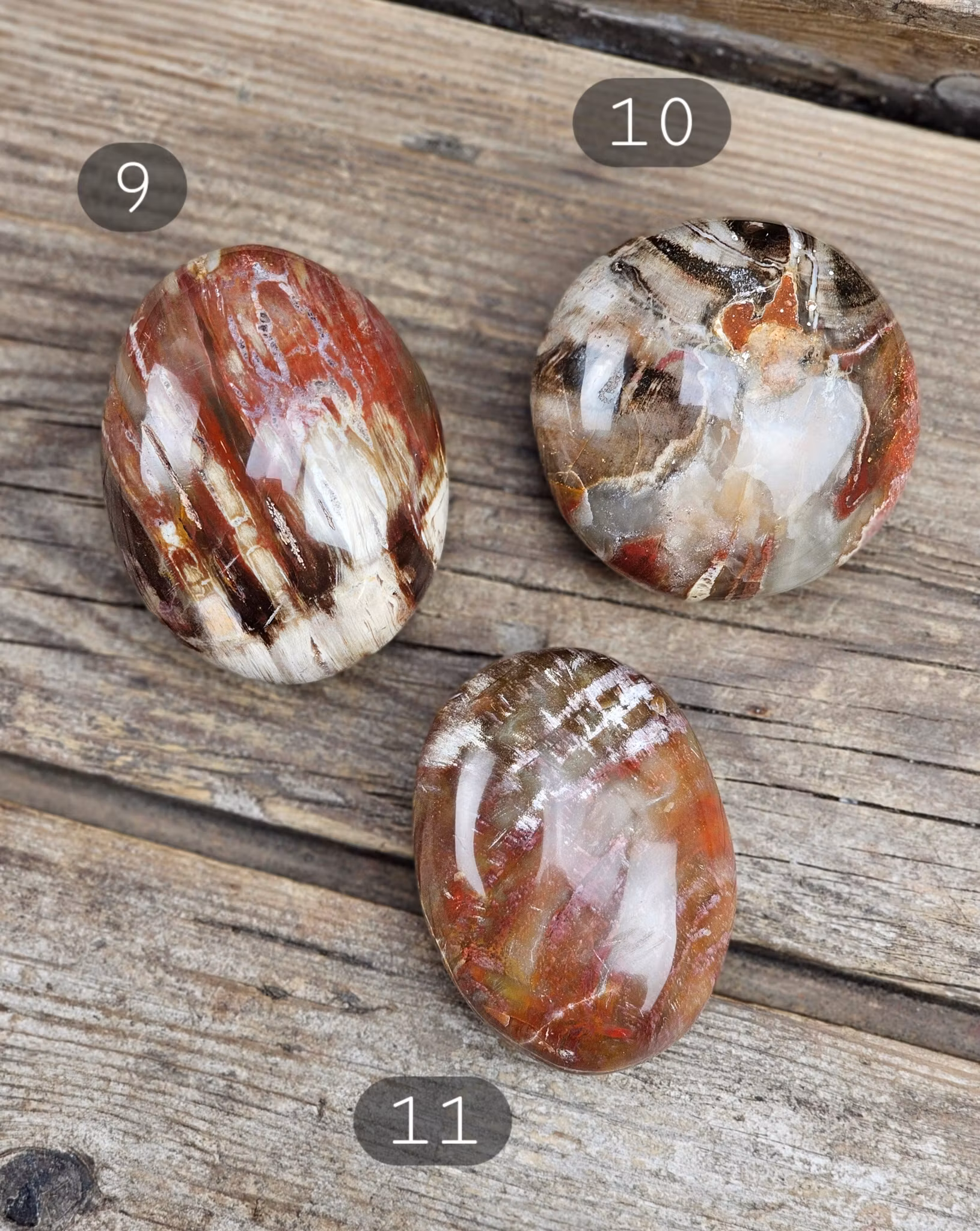 Förstenat trä, stor touchstone #9-11