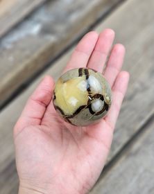 Septarian/Draksten, klot #6