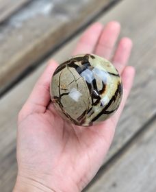 Septarian/Draksten, klot #11