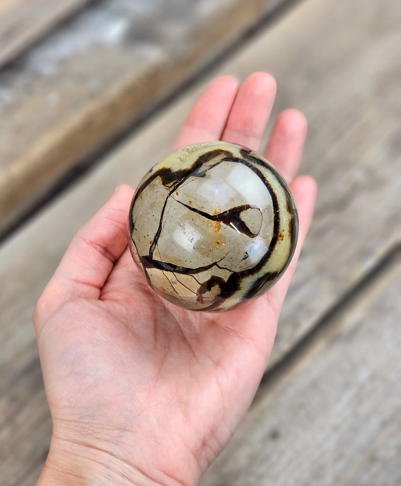 Septarian/Draksten, klot