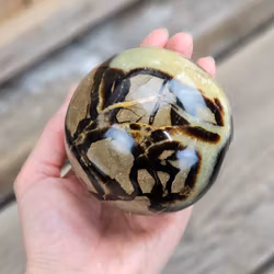 Septarian/Draksten, klot #15