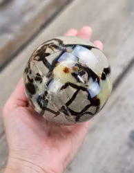 Septarian/Draksten, klot #16