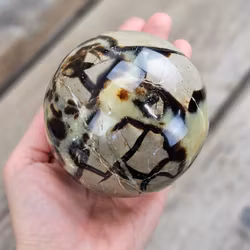 Septarian/Draksten, klot #16