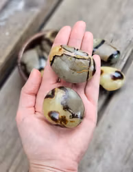 Septarian (Draksten), stor touchstone