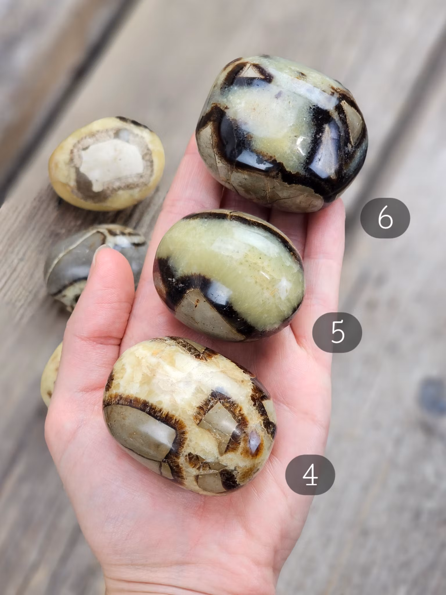 Septarian (Draksten), touchstone