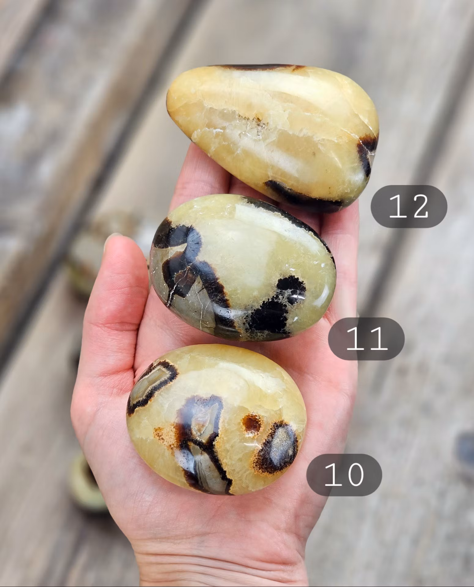 Septarian (Draksten), touchstone