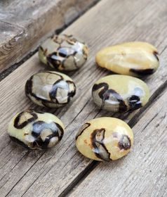 Septarian (Draksten), touchstone #7-12