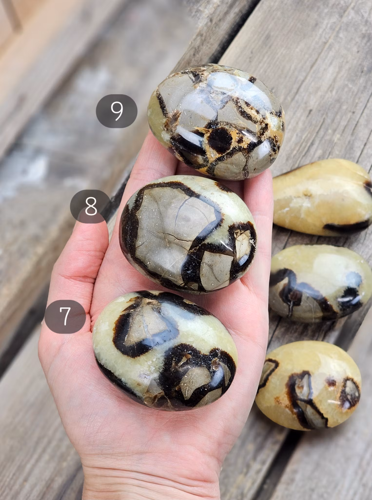 Septarian (Draksten), touchstone