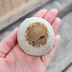 Enhydro Agat/Agatgeod med inkapslat vatten #1