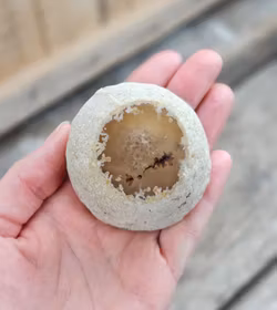 Enhydro Agat/Agatgeod med inkapslat vatten #1