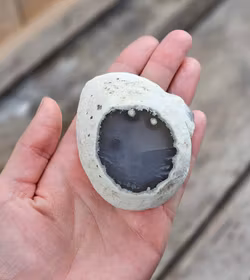 Enhydro Agat/Agatgeod med inkapslat vatten #3