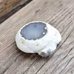 Enhydro Agat/Agatgeod med inkapslat vatten #3