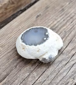 Enhydro Agat/Agatgeod med inkapslat vatten #3