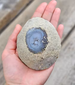 Enhydro Agat/Agatgeod med inkapslat vatten #5