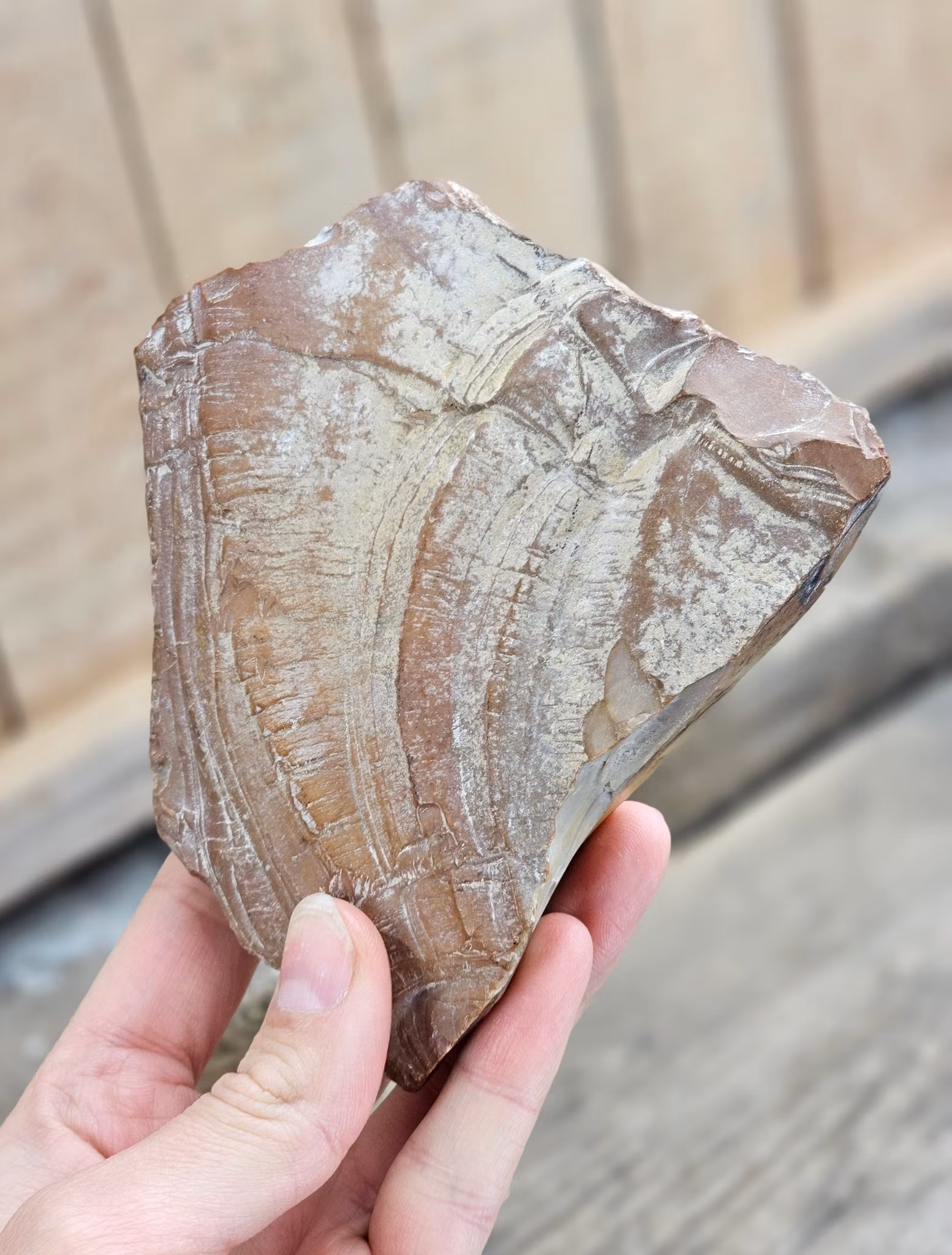 Polykromjaspis, halvpolerad friform
