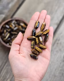Tigeröga, dubbelterminerad spets