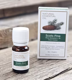 Fiore D'Oriente - Scots Pine, Eterisk olja Aromaterapi