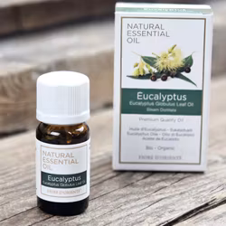 Fiore D'Oriente - Eucalyptus, Eterisk olja Aromaterapi
