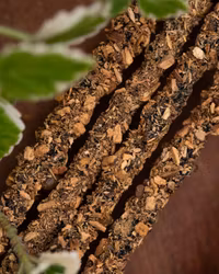 Sagrada Madre Artesano x 5 line - Vinruta, Rosmarin & Frankincense, rökelsepinnar