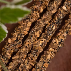 Sagrada Madre Artesano x 5 line - Vinruta, Rosmarin & Frankincense, rökelsepinnar