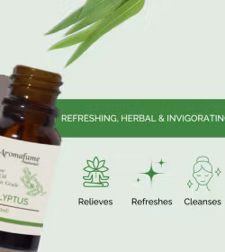 Aromafume - Eucalyptus, Eterisk olja Aromaterapi