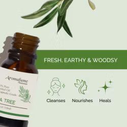 Aromafume - Tea Tree, Eterisk olja Aromaterapi