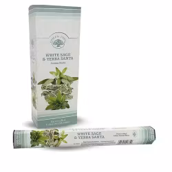 Green Tree - White Sage & Yerba Santa, hexa rökelsepinnar