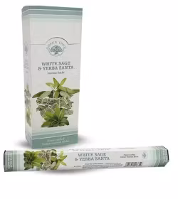 Green Tree - White Sage & Yerba Santa, hexa rökelsepinnar