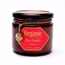 Song Of India - Desi Gulab Rose, doftljus 55h