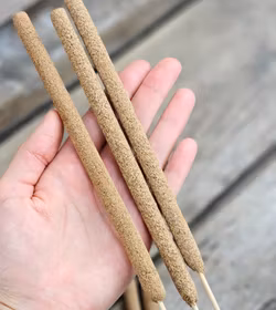 Palo Santo (Heligt trä), naturliga rökelsepinnar extra stora 3-pack
