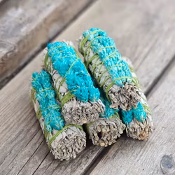 Vit Salvia med Phalarisgräs