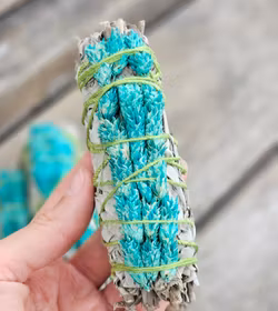 Vit Salvia med Phalarisgräs