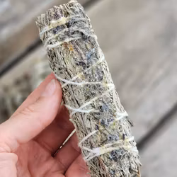 Blå Salvia (Shasta Sage) i kombination med Copal