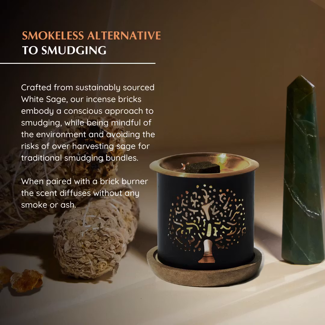 Aromafume - White Sage & Frankincense, rökelsebrickor