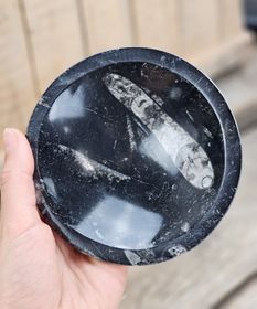 Ortoceratit Fossil, rund skål #7