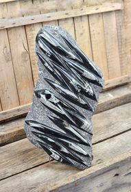 Ortoceratit fossil i matrix XXL #3
