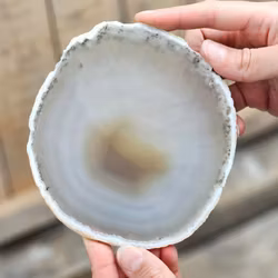 Agatskiva, stor naturlig #12