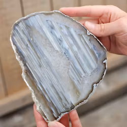 Agatskiva, stor naturlig #16