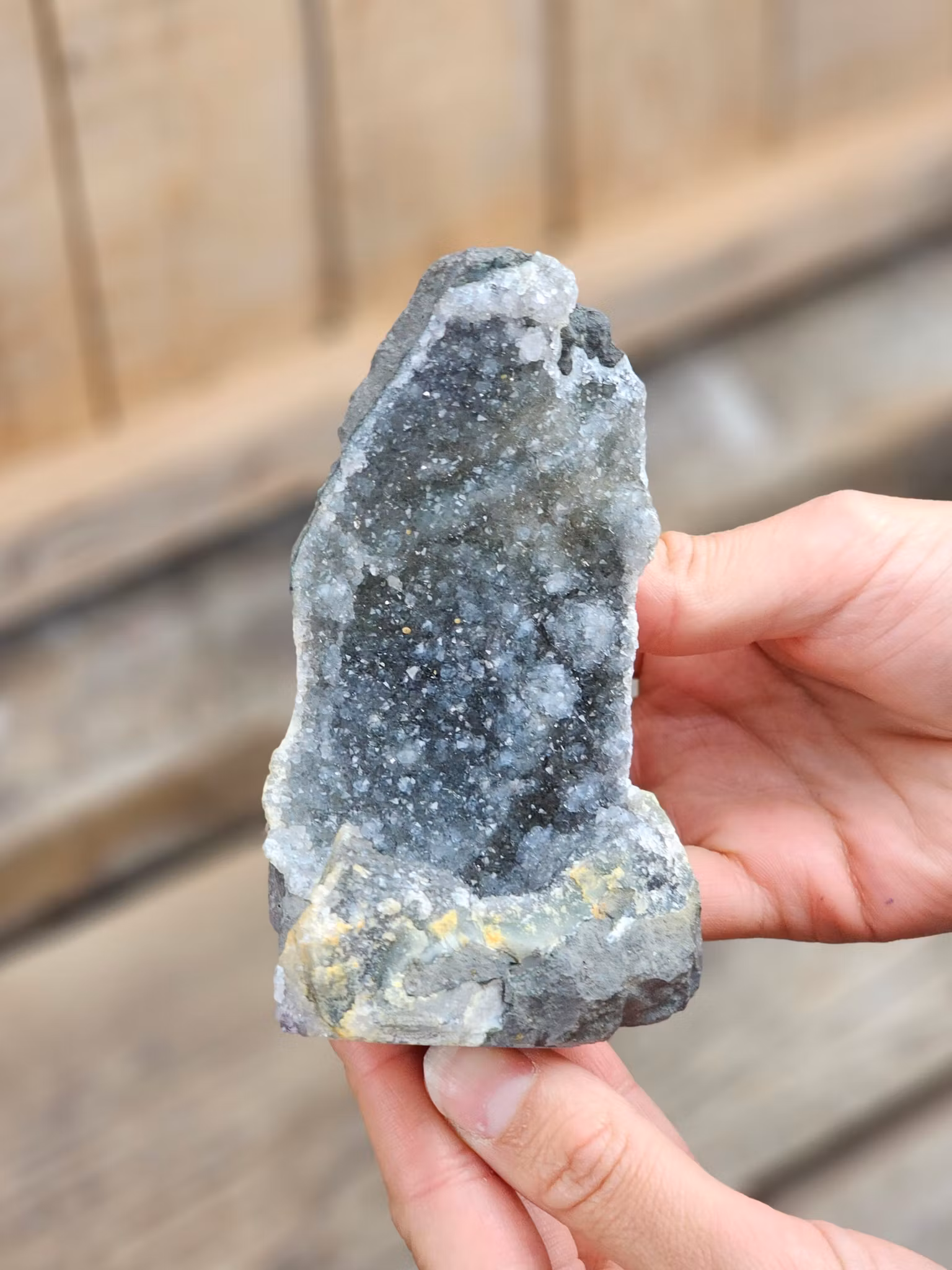 Ametistkluster grå (Galaxy), stående